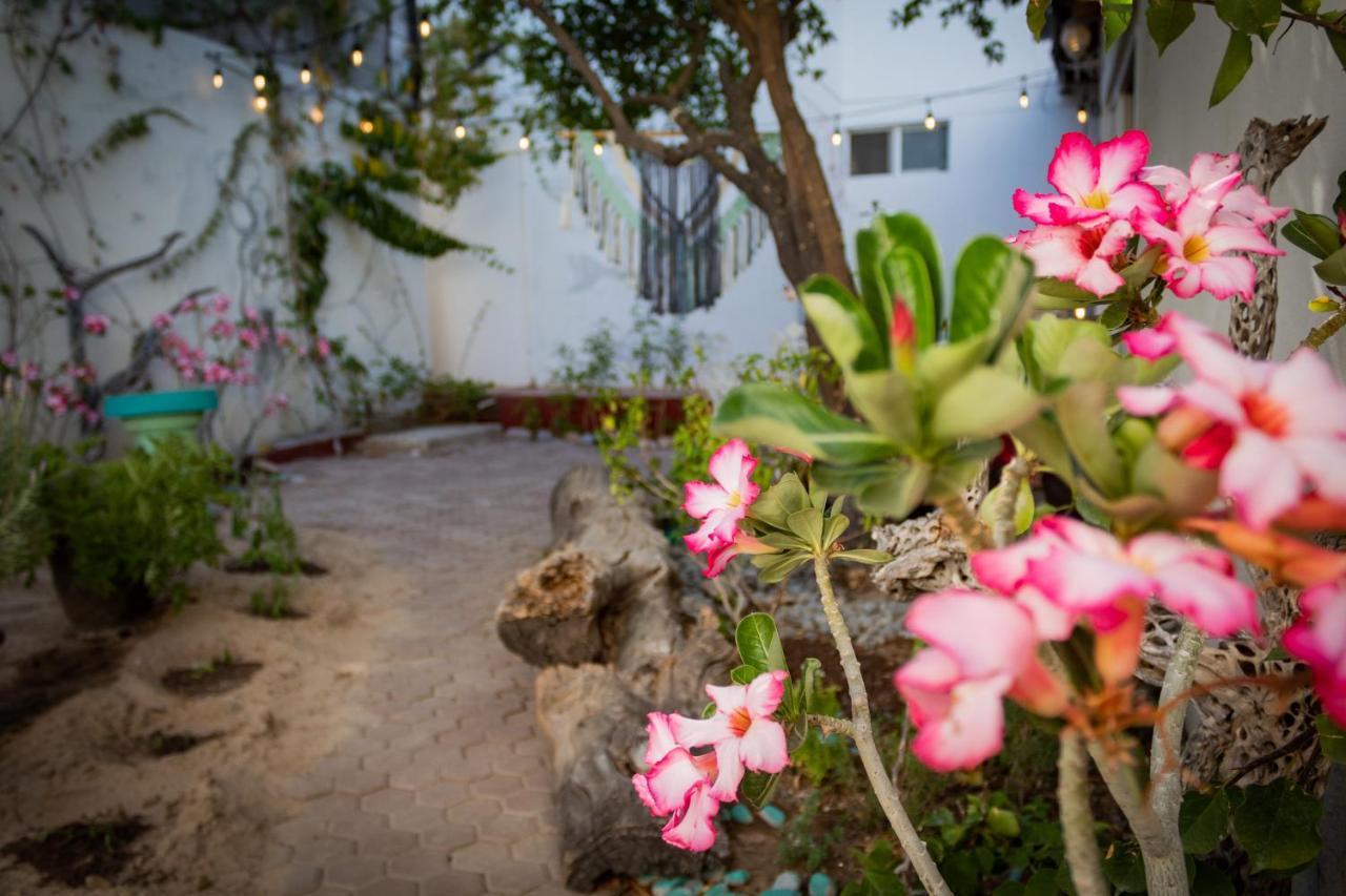 Adventure Inn ลาปาซ ภายนอก รูปภาพ